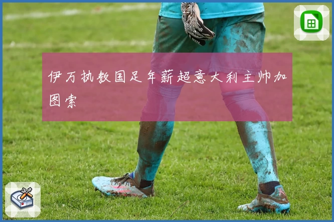 伊万执教国足年薪超意大利主帅加图索