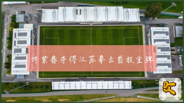 许紫春夺得江苏拳击首枚金牌