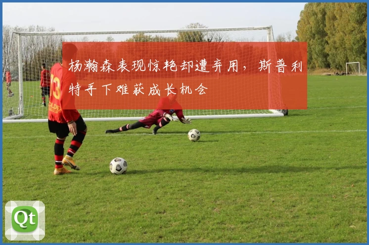 杨瀚森表现惊艳却遭弃用，斯普利特手下难获成长机会
