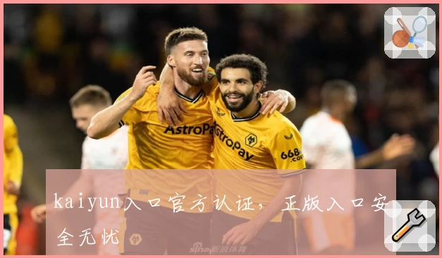 kaiyun入口官方认证，正版入口安全无忧