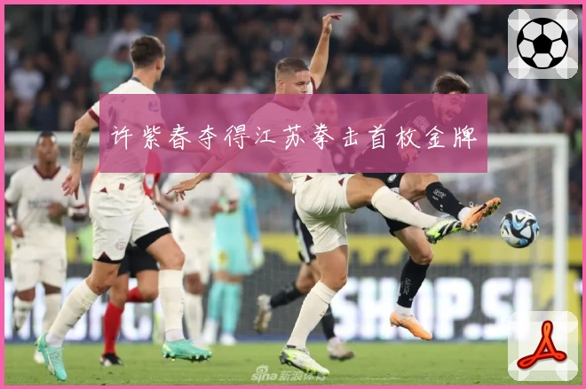 许紫春夺得江苏拳击首枚金牌